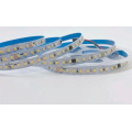 Bright LED Light Strip Felxiable2835 Indoor Nosso uso da porta tem ROHS